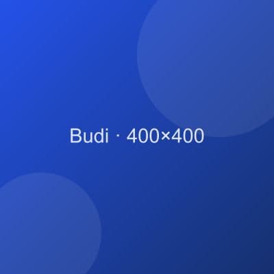 Budi Santoso